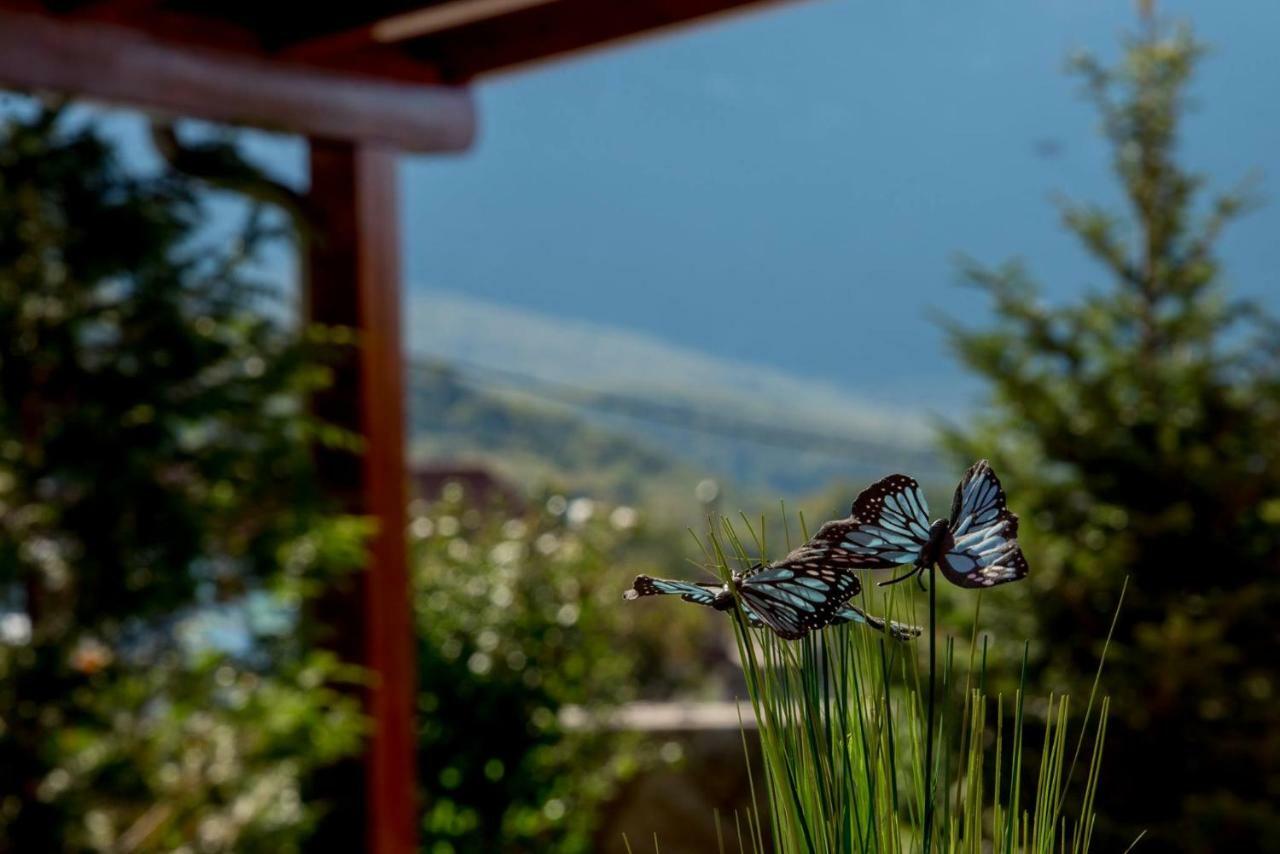 Villa Zvonimir Zagvozd Esterno foto